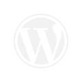 WordPress icon
